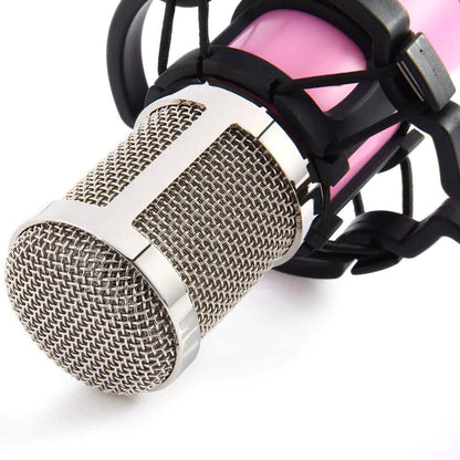 BM-800 Condenser Sound Recording Microphone with Shock Mount for Radio Braodcasting DailySale
