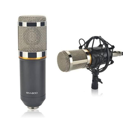 BM800 Professional Condenser Microphone DailySale