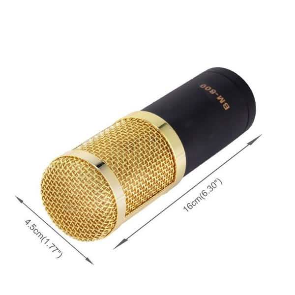 BM800 Professional Condenser Microphone DailySale