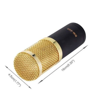 BM800 Professional Condenser Microphone DailySale