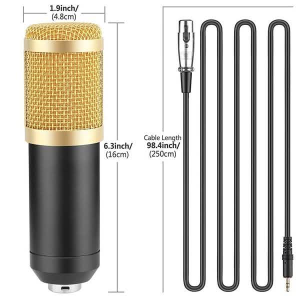 BM800 Professional Condenser Microphone DailySale
