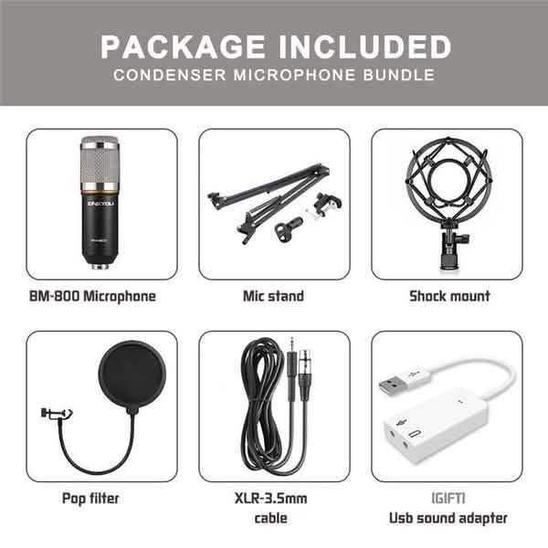 BM800 Professional Condenser Microphone DailySale
