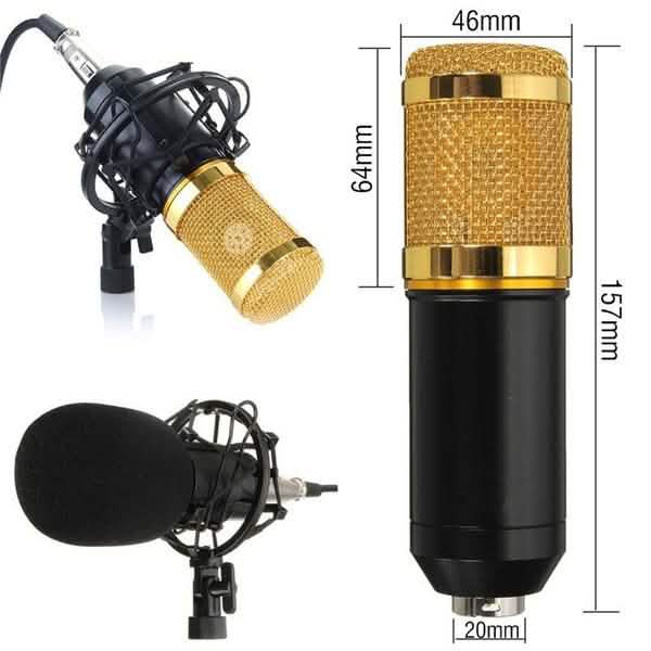 BM800 Professional Condenser Microphone DailySale