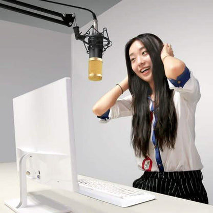 BM800 Professional Condenser Microphone DailySale