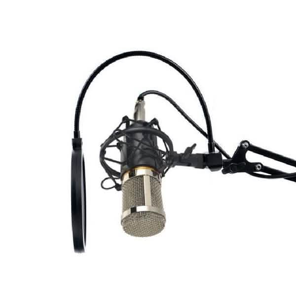 BM800 Professional Condenser Microphone DailySale
