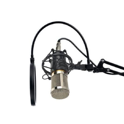 BM800 Professional Condenser Microphone DailySale
