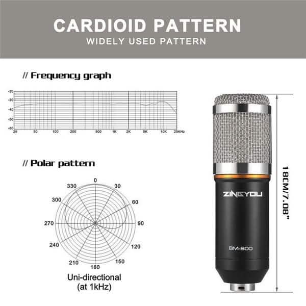 BM800 Professional Condenser Microphone DailySale