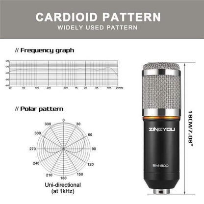 BM800 Professional Condenser Microphone DailySale