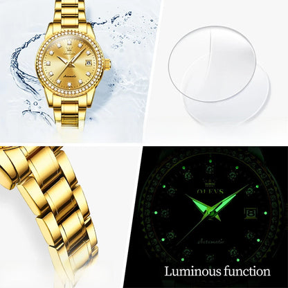 Women's Automatic Mechanical Diamond Dial Stainless Watch BandsCo Straps