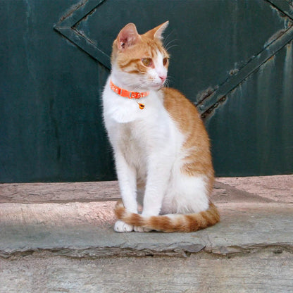 Ca2-Pack: Adjustable Kitten Collar with Bell Name Tag DailySale
