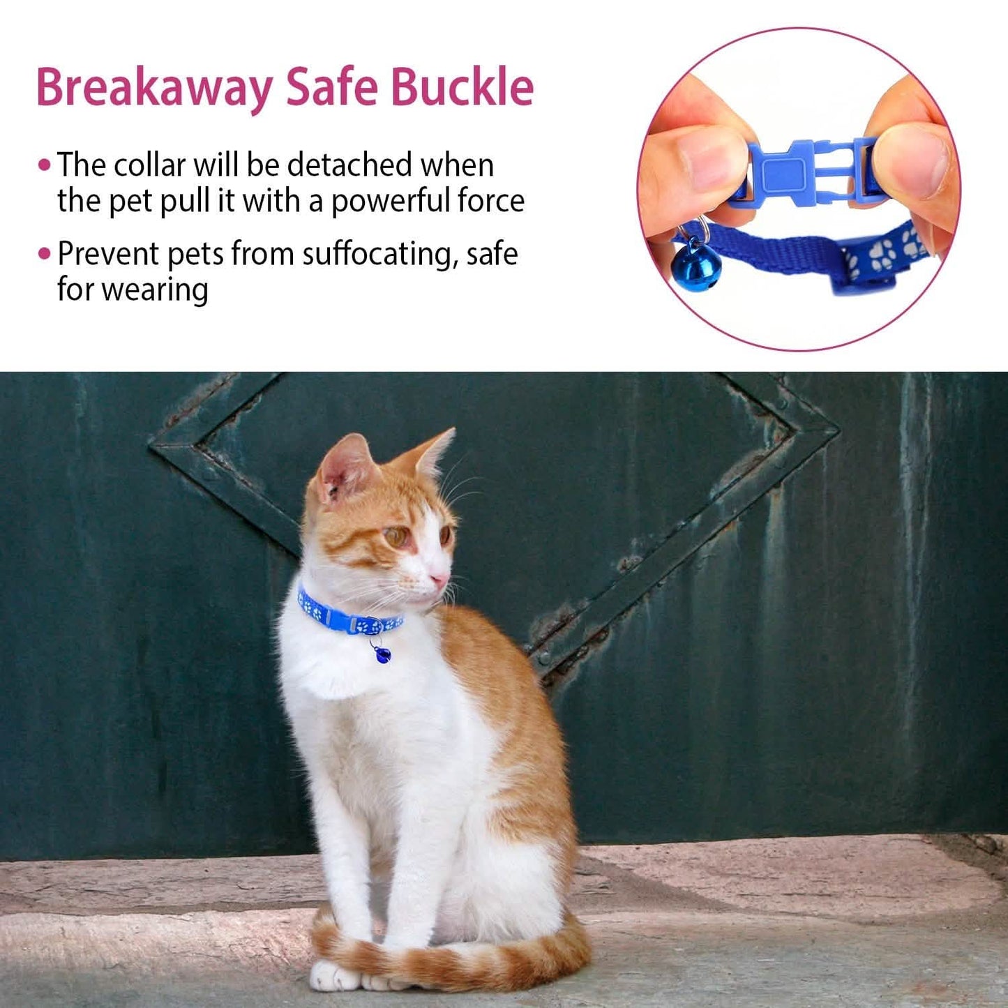 Ca2-Pack: Adjustable Kitten Collar with Bell Name Tag DailySale