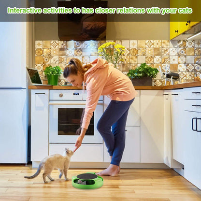 Cat Interactive Scratching Toy with Rotating Running Mouse DailySale