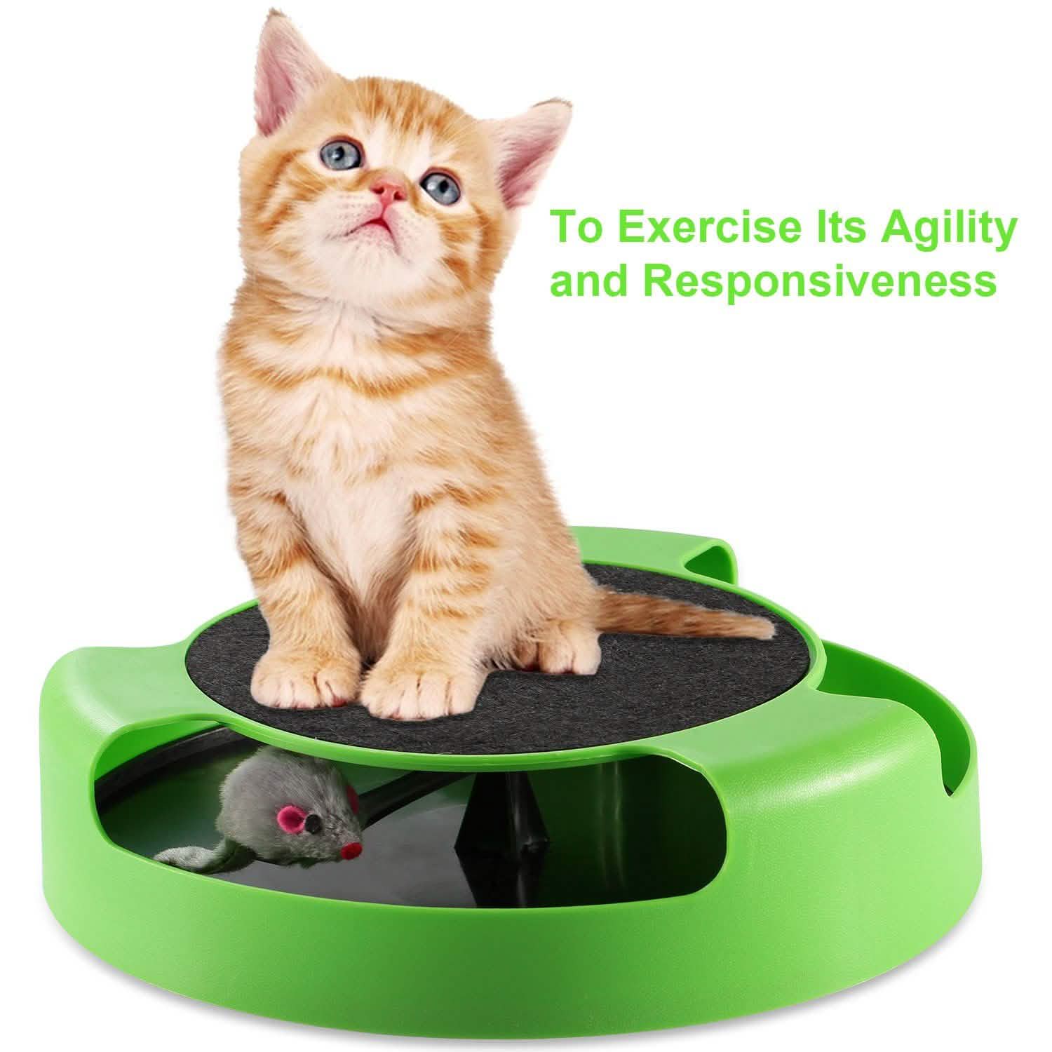Cat Interactive Scratching Toy with Rotating Running Mouse DailySale