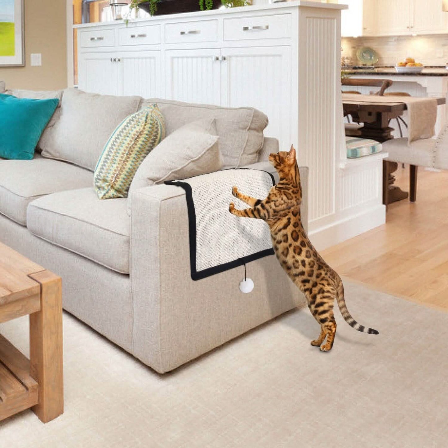 Cat Scratching Pad with 9 Screw Nails DailySale