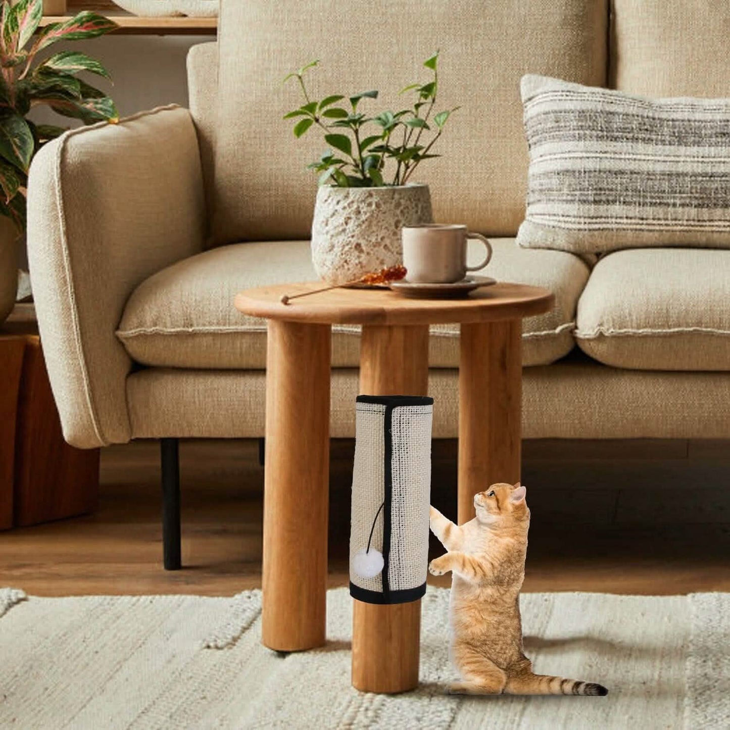 Cat Scratching Pad with 9 Screw Nails DailySale