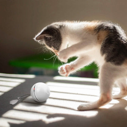 Cat Teaser Ball Automatic Self Rotating Interactive Cat Motion Exercise Toy DailySale