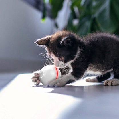Cat Teaser Ball Automatic Self Rotating Interactive Cat Motion Exercise Toy DailySale