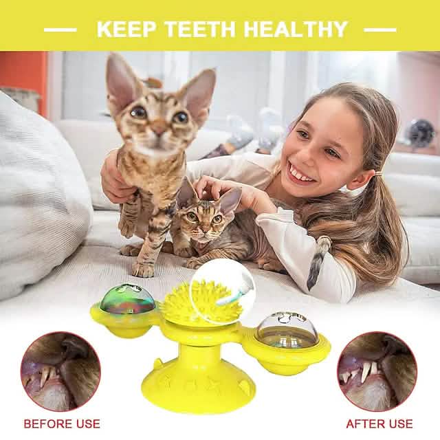 Cat Teases Interactive Pet Toy DailySale