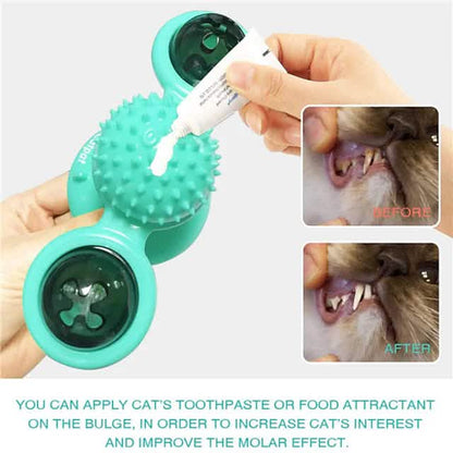 Cat Teases Interactive Pet Toy DailySale