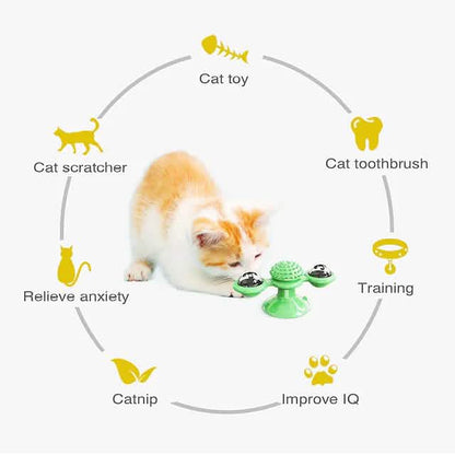 Cat Teases Interactive Pet Toy DailySale