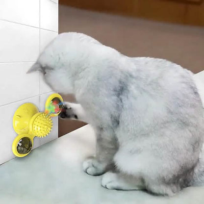 Cat Teases Interactive Pet Toy DailySale
