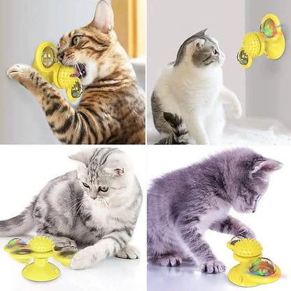 Cat Teases Interactive Pet Toy DailySale