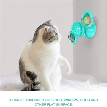 Cat Teases Interactive Pet Toy DailySale