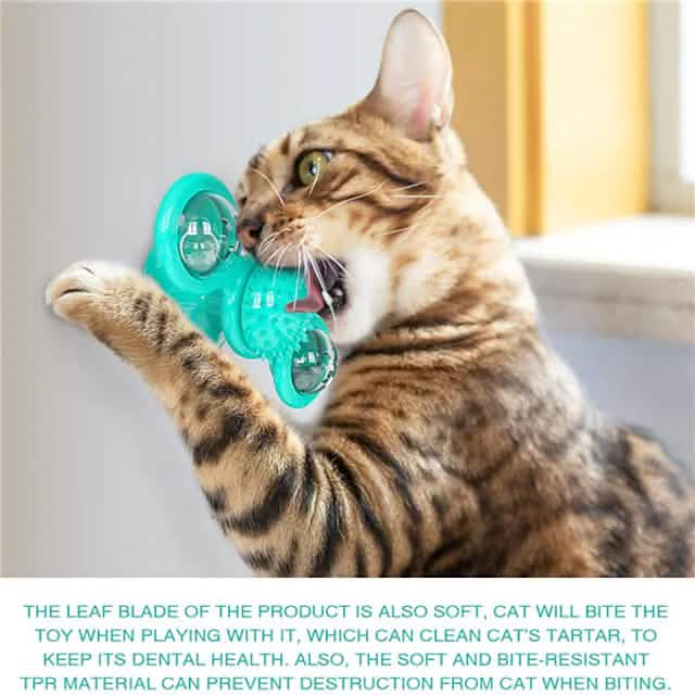 Cat Teases Interactive Pet Toy DailySale