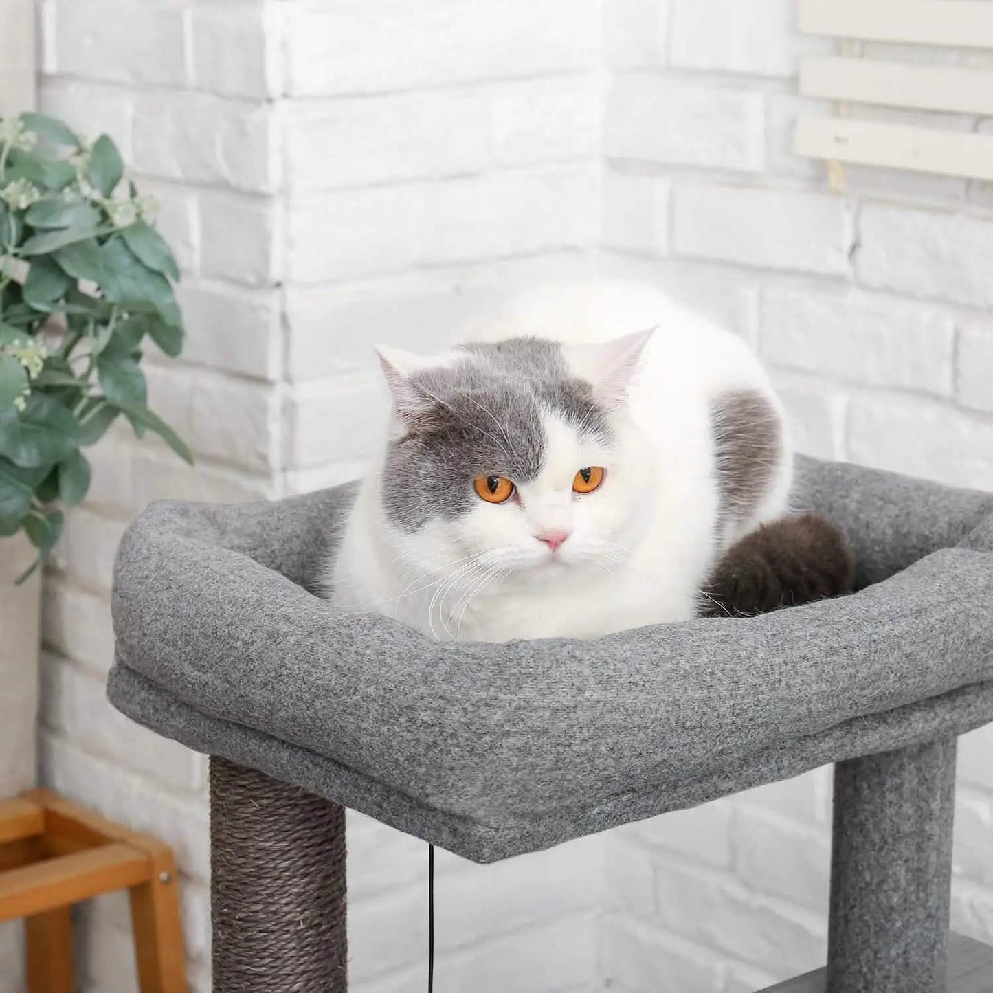 Cat Tree Deluxe 34" Cat Tower DailySale