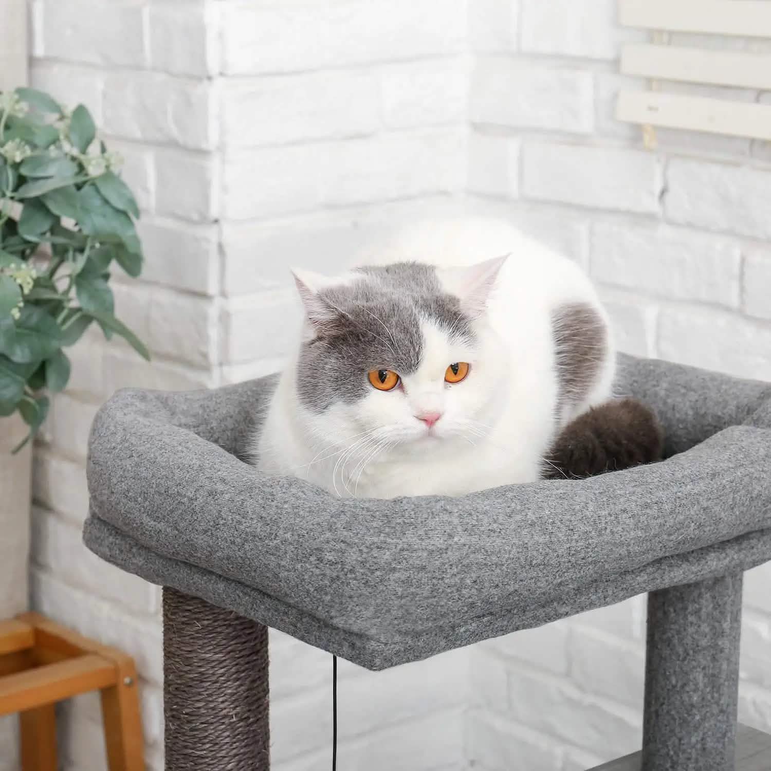 Cat Tree Deluxe 34" Cat Tower DailySale