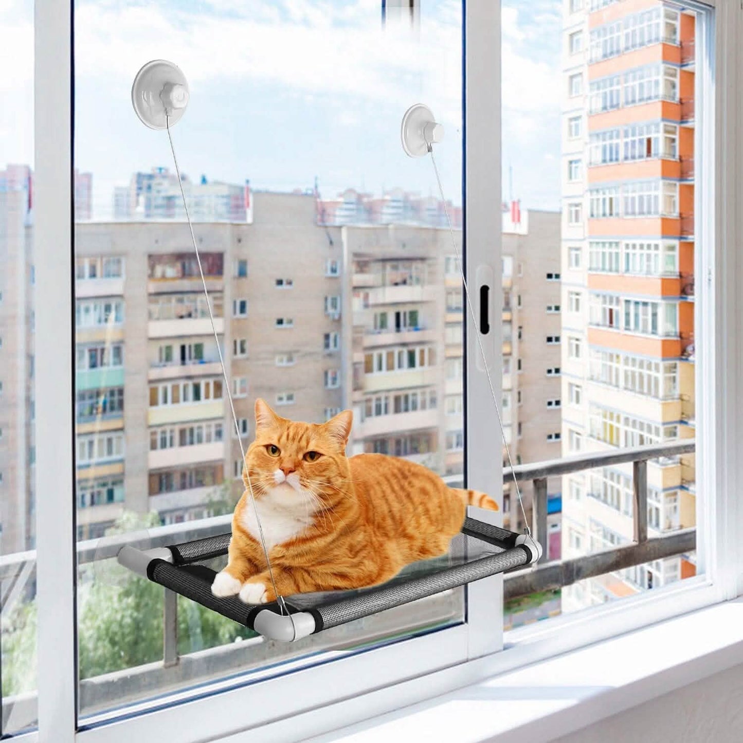 Cat Window Perch Cat Hammock Window Seat DailySale