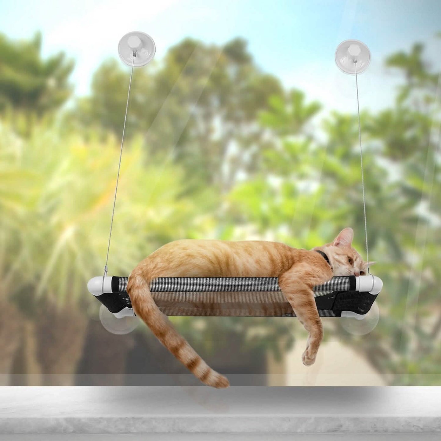Cat Window Perch Cat Hammock Window Seat DailySale