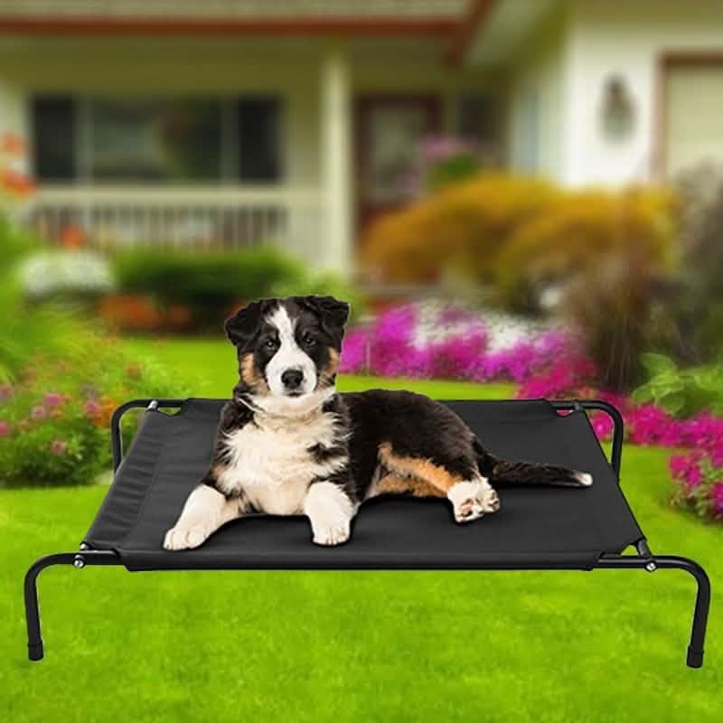 Cats and Dogs Elevated Pet Bed DailySale