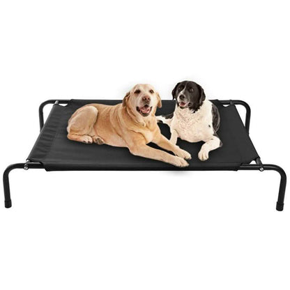 Cats and Dogs Elevated Pet Bed DailySale