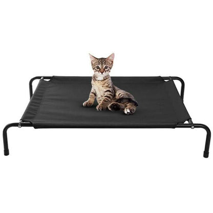Cats and Dogs Elevated Pet Bed DailySale
