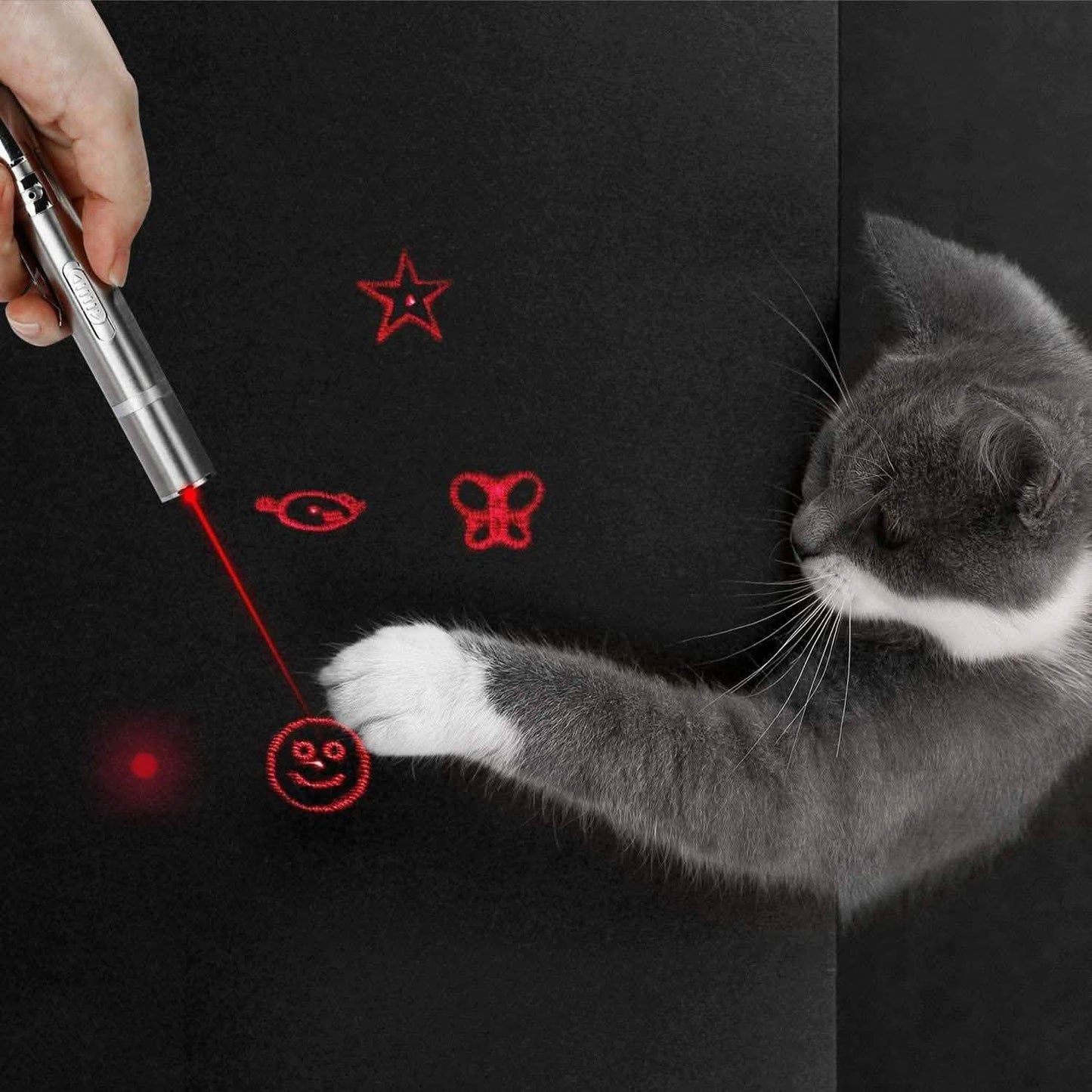 Cats Indoor and Outdoor Laser Toy DailySale