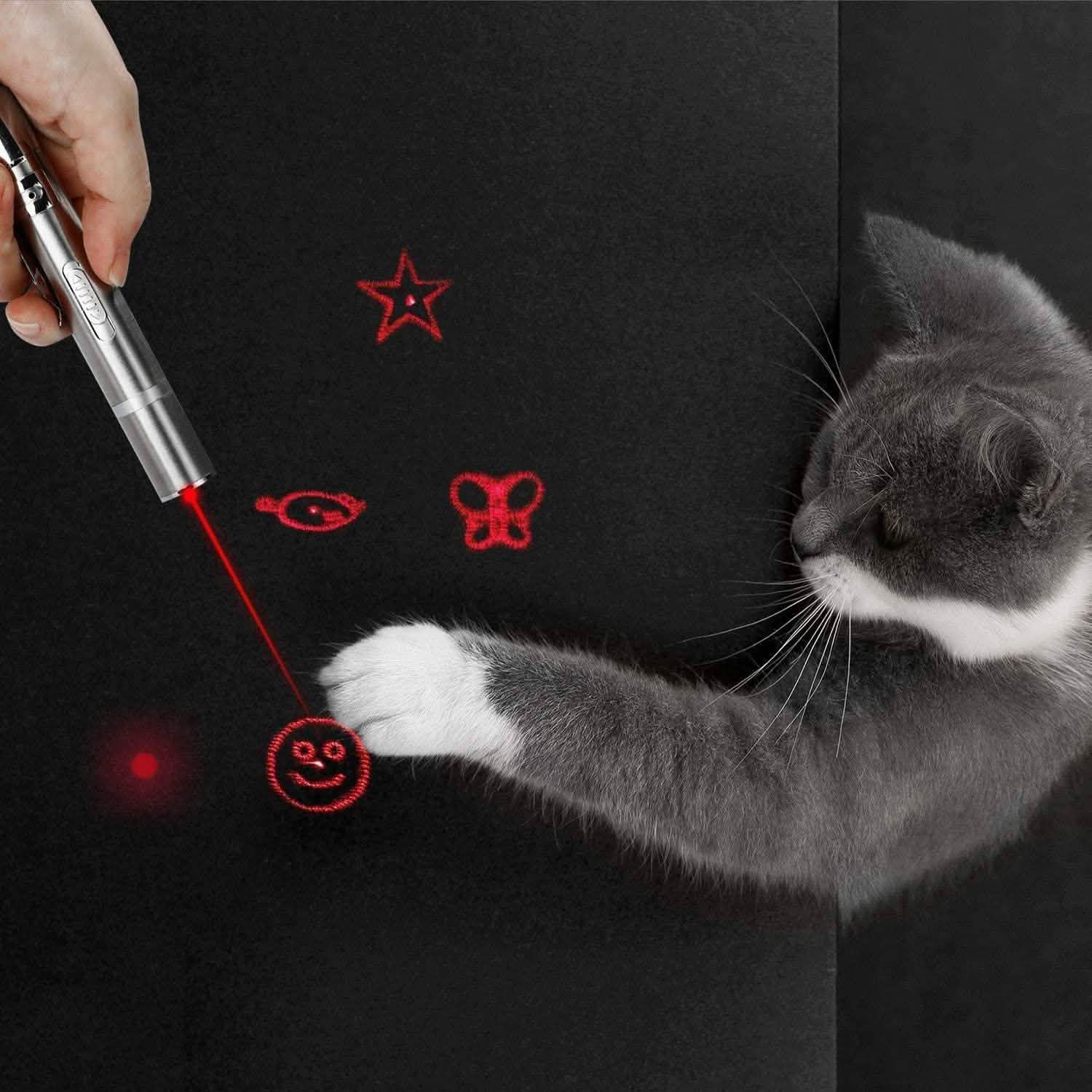 Cats Indoor and Outdoor Laser Toy DailySale