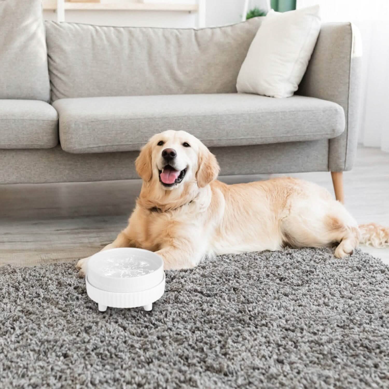 Ceramic Heated Pet Water Bowl Food Warmer DailySale