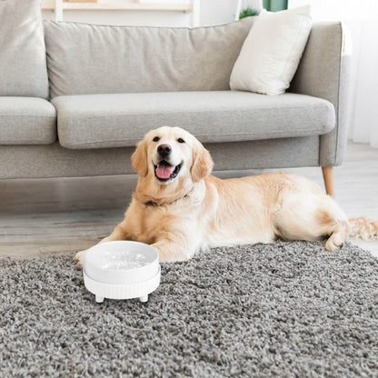 Ceramic Heated Pet Water Bowl Food Warmer DailySale