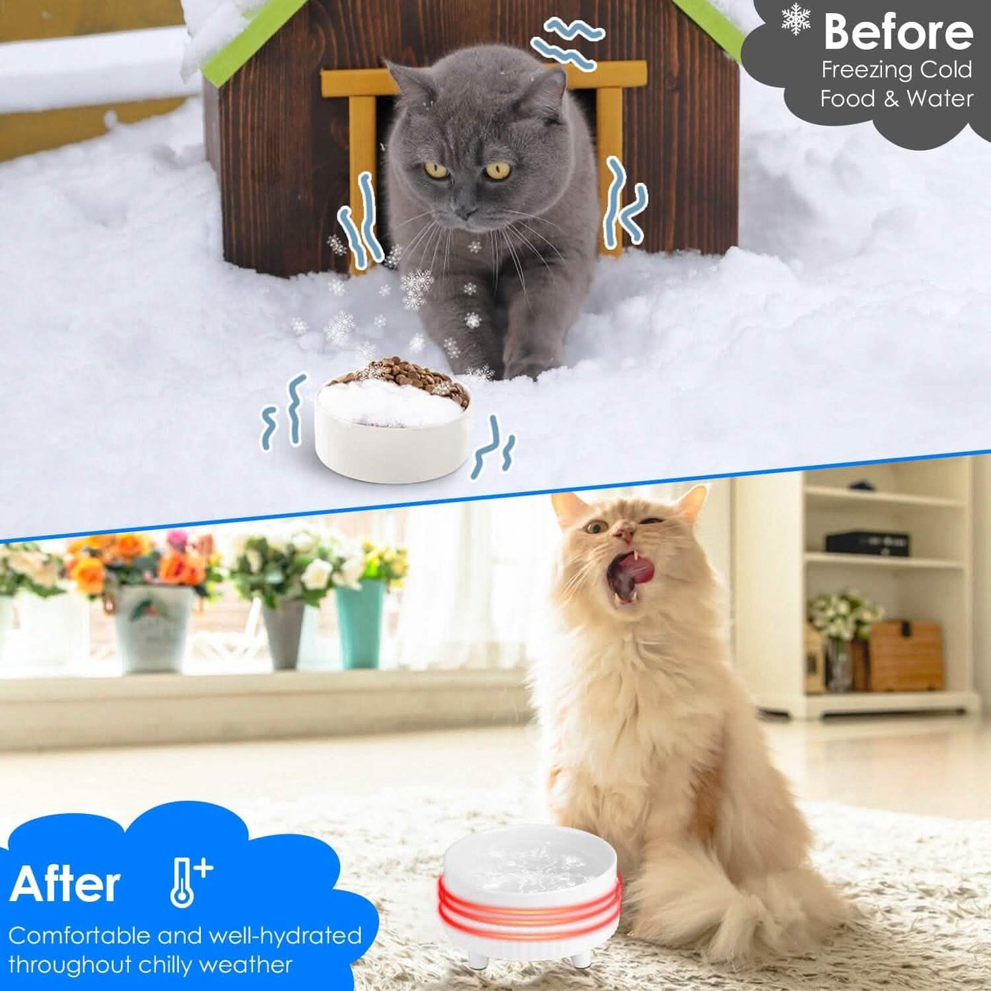 Ceramic Heated Pet Water Bowl Food Warmer DailySale