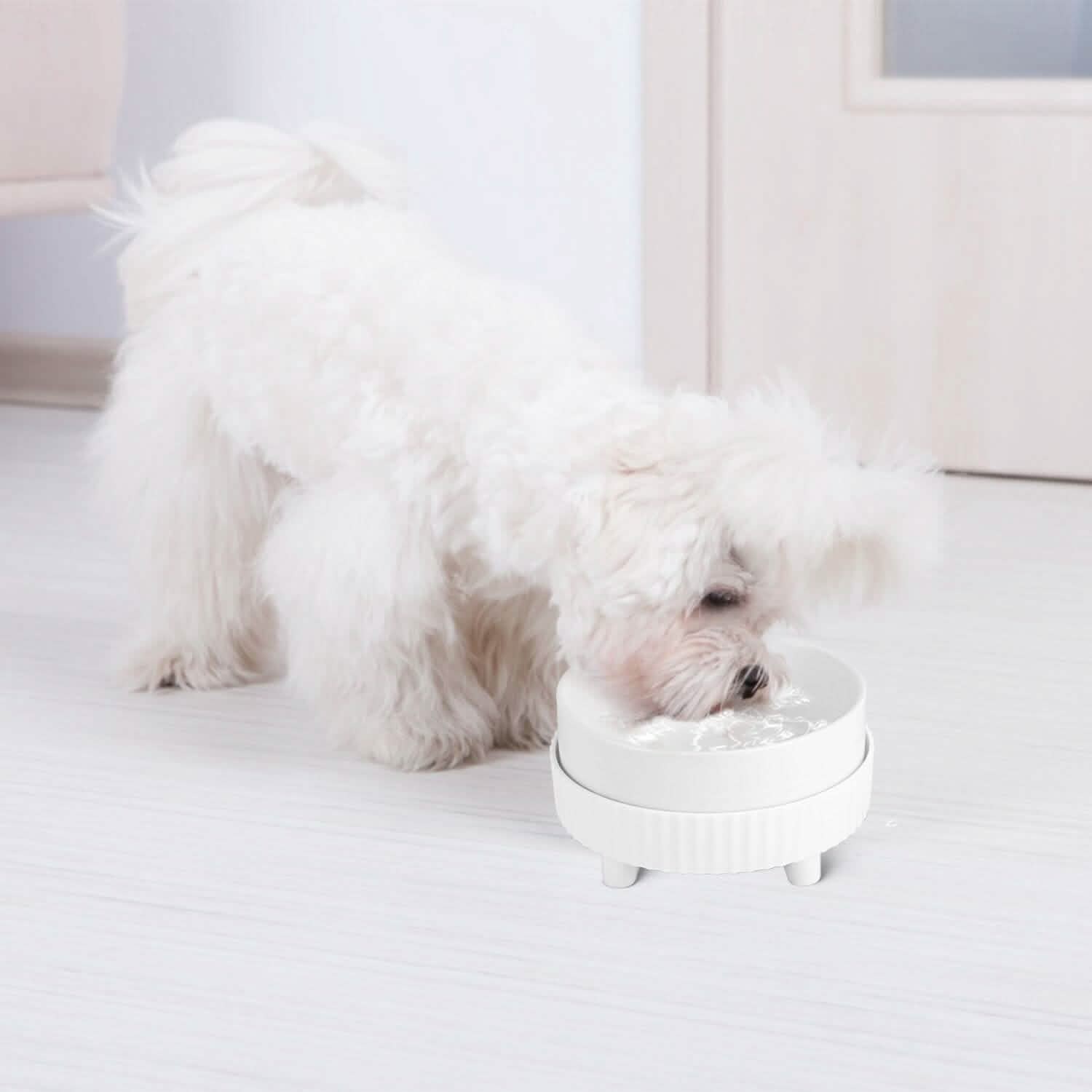 Ceramic Heated Pet Water Bowl Food Warmer DailySale
