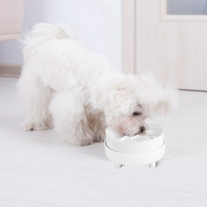 Ceramic Heated Pet Water Bowl Food Warmer DailySale
