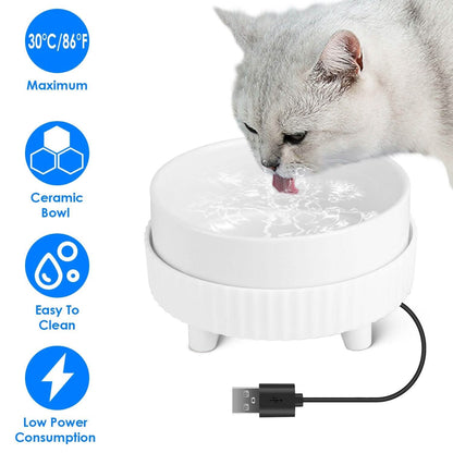 Ceramic Heated Pet Water Bowl Food Warmer DailySale