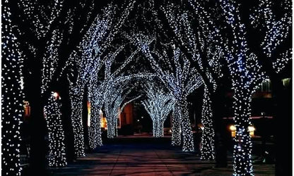 Solar-Powered 100 LED Fairy Light String - Assorted Colors DailySale
