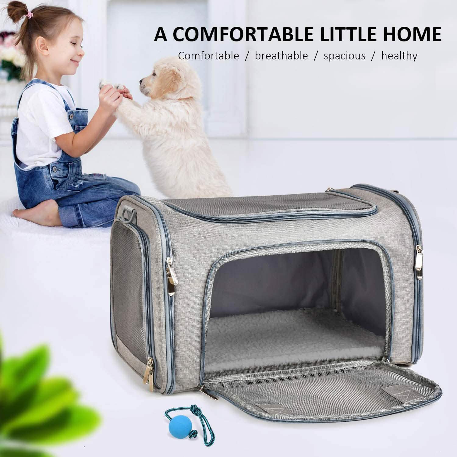 Collapsible Cat Dog Carrier DailySale