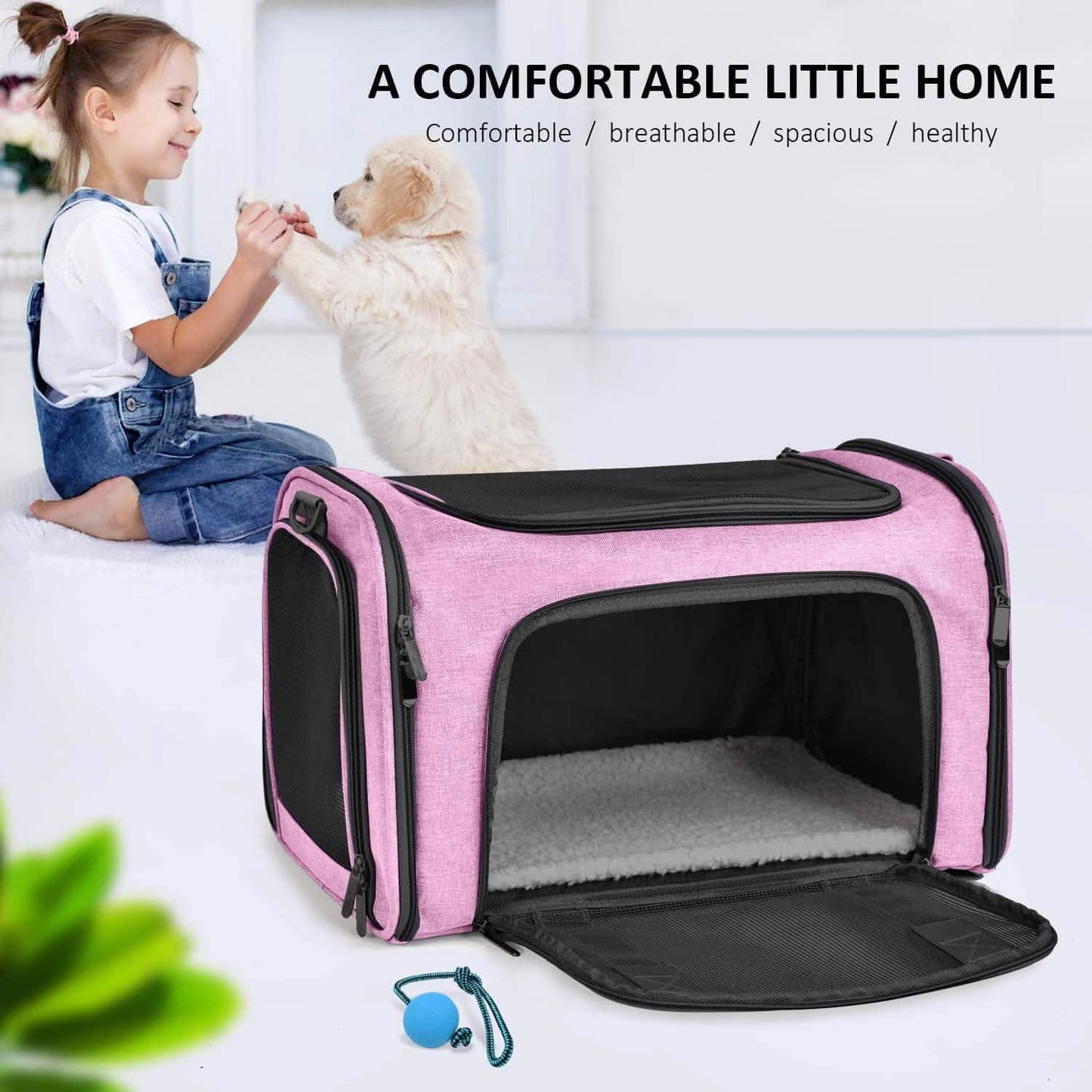 Collapsible Cat Dog Carrier DailySale