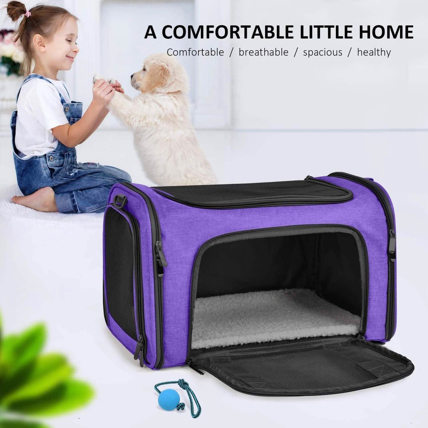 Collapsible Cat Dog Carrier DailySale