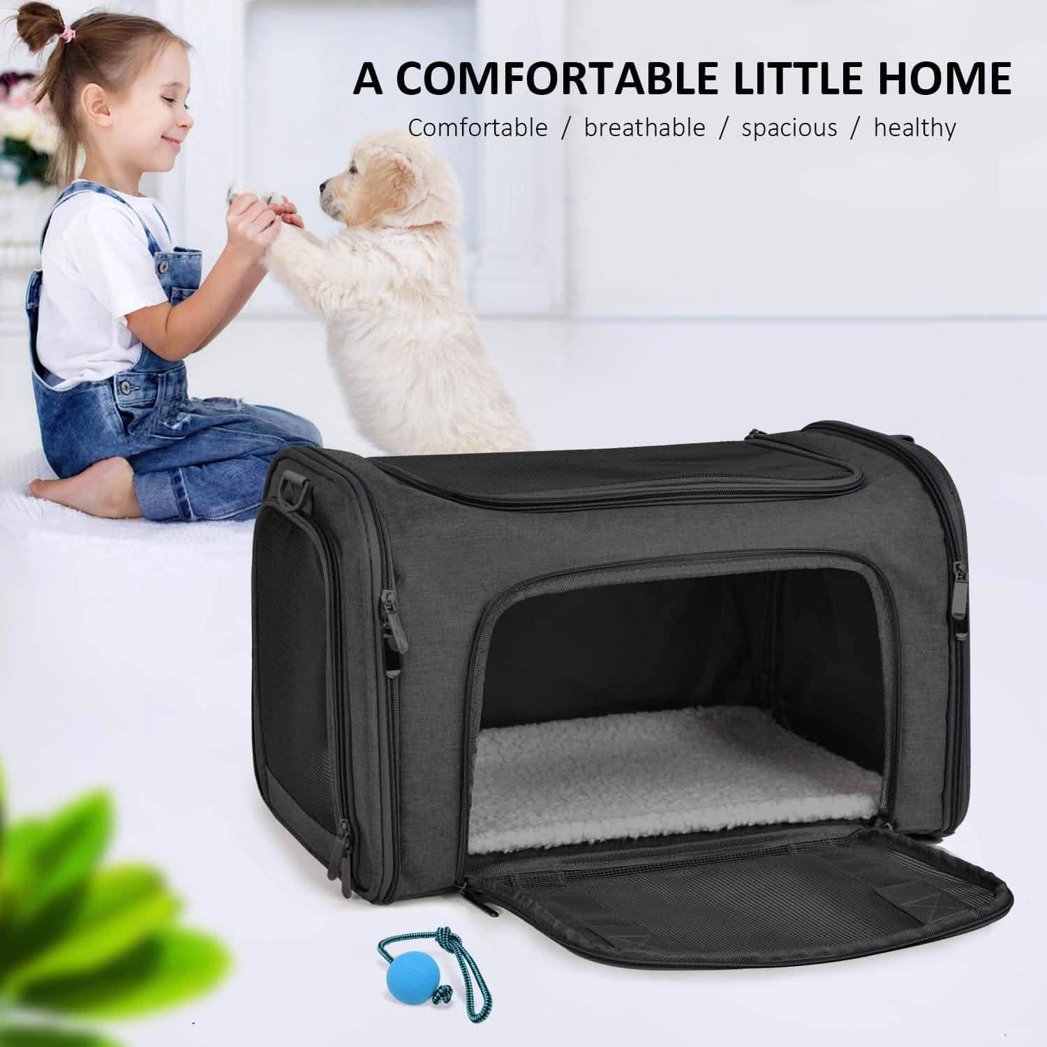 Collapsible Cat Dog Carrier DailySale