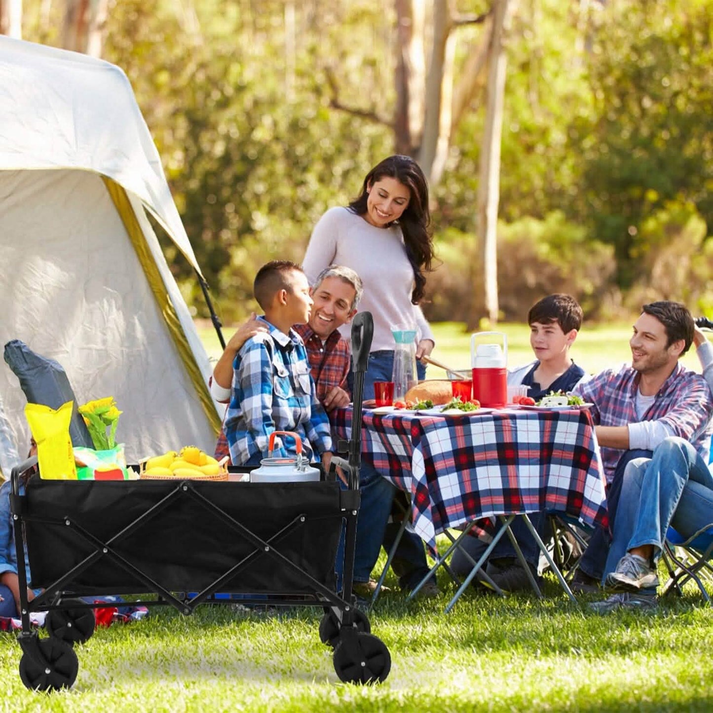 Collapsible Folding Wagon Cart DailySale