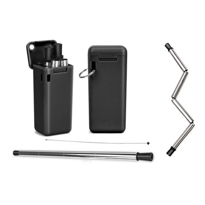 Collapsible, Portable, And Reusable Stainless Steel Drinking Straw With Case DailySale
